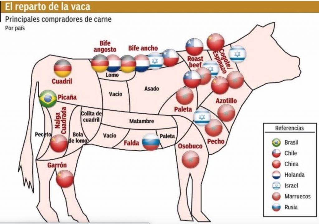 que cortes de carne argentina se exportan a que pais